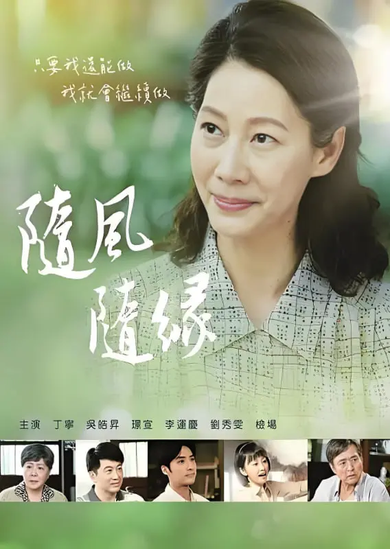 《随风 随缘》：一场关于接受与放下的心灵之旅，在慢生活中找寻真我