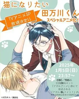 《想变成猫的田万川君》：一个关于逃离现实和自我发现的奇幻冒险故事，带你探寻内心的自由与成长